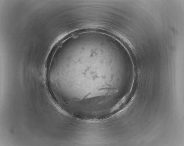 X0000116491029200912091416