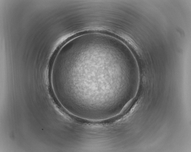 X0000116491030200912091416