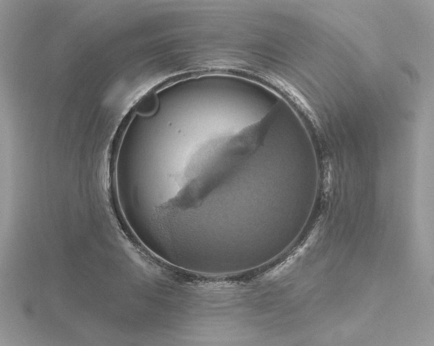 X0000116491031200912091416