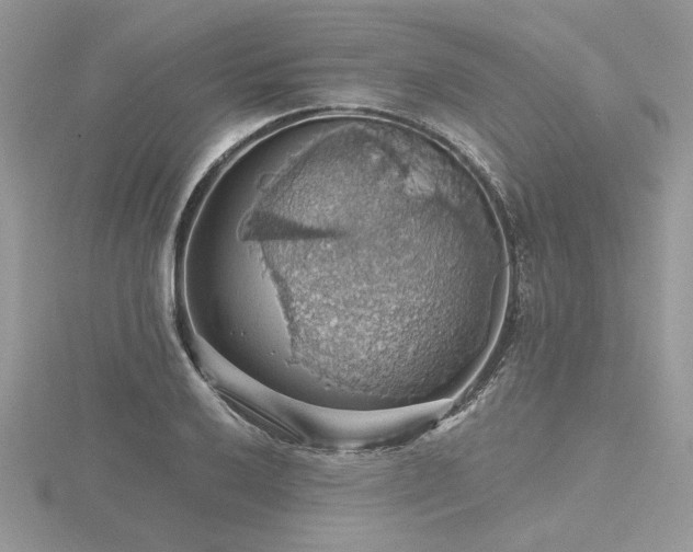 X0000116491032200912091416