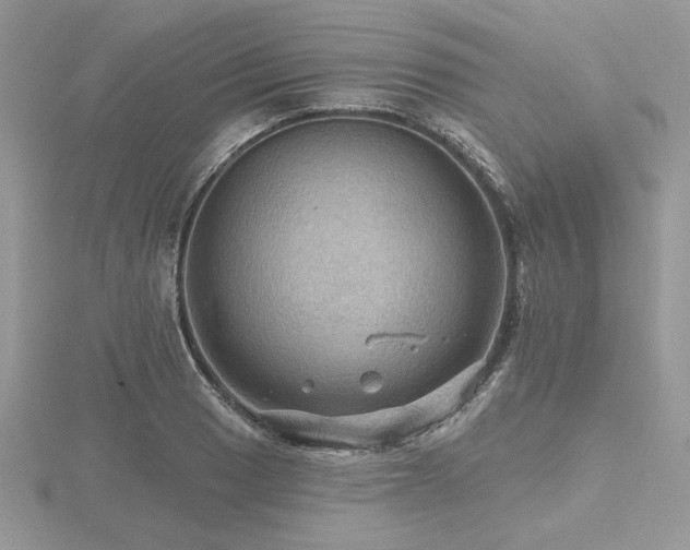 X0000116491033200912091416