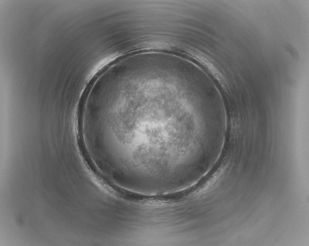 X0000116491034200912091416