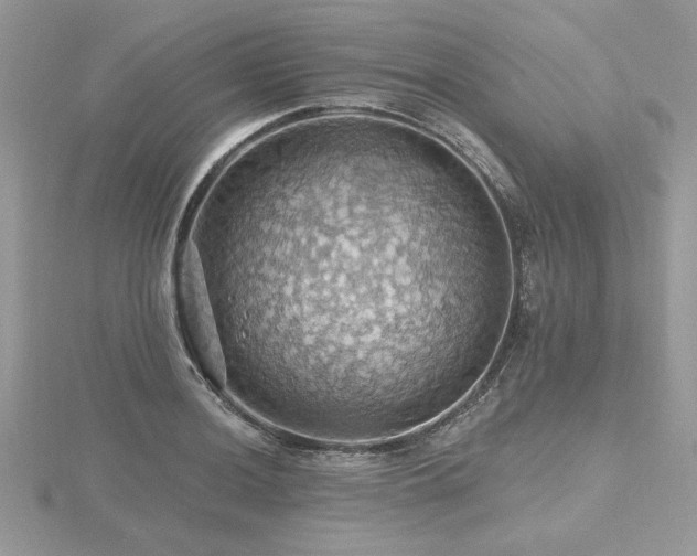 X0000116491036200912091416