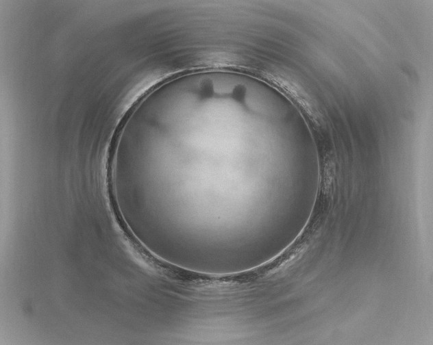 X0000116491039200912091416