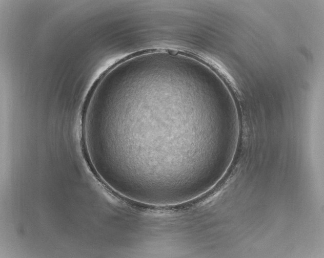 X0000116491040200912091416