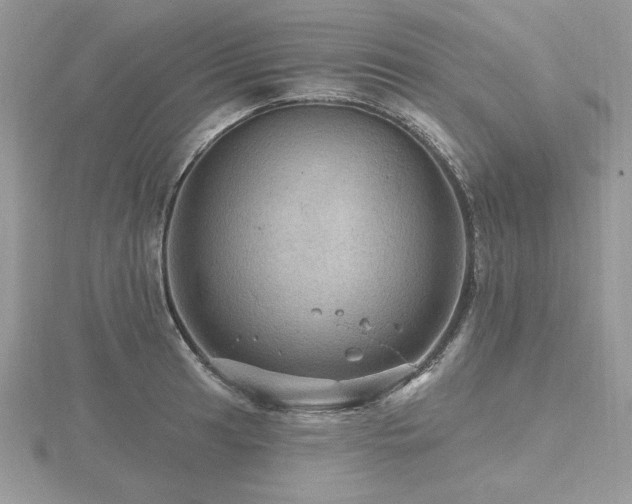 X0000116491041200912091416