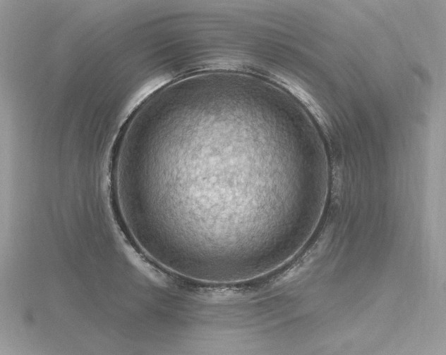 X0000116491042200912091416