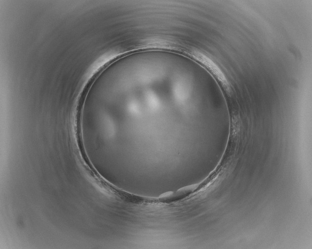 X0000116491043200912091416