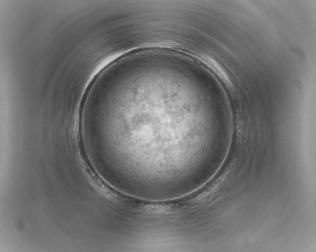 X0000116491044200912091416