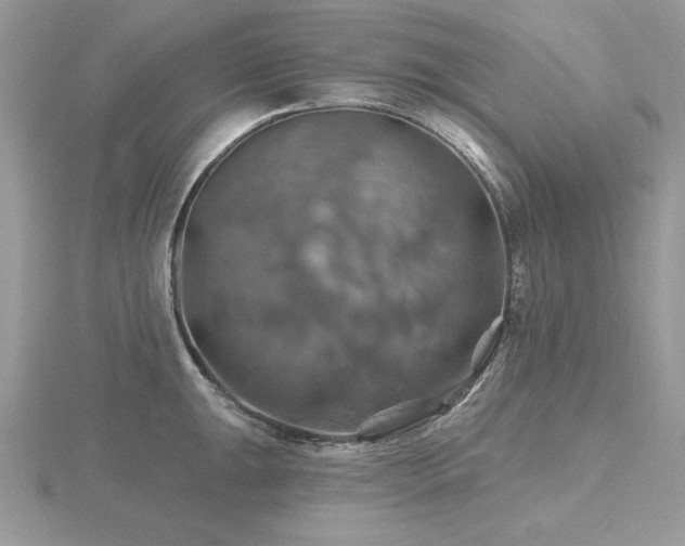 X0000116491047200912091417