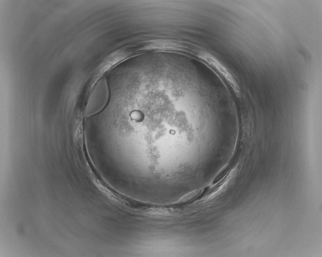 X0000116491049200912091417