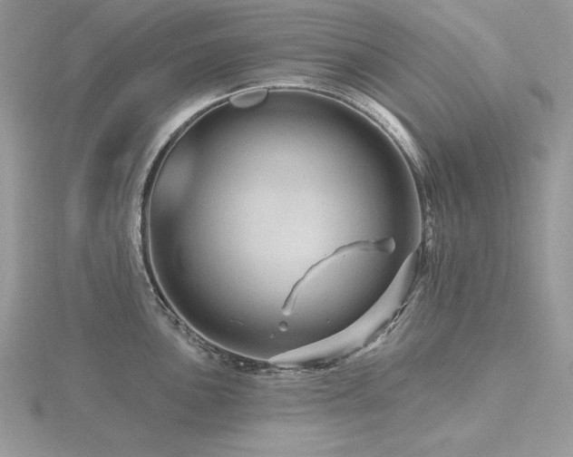 X0000116491051200912091417