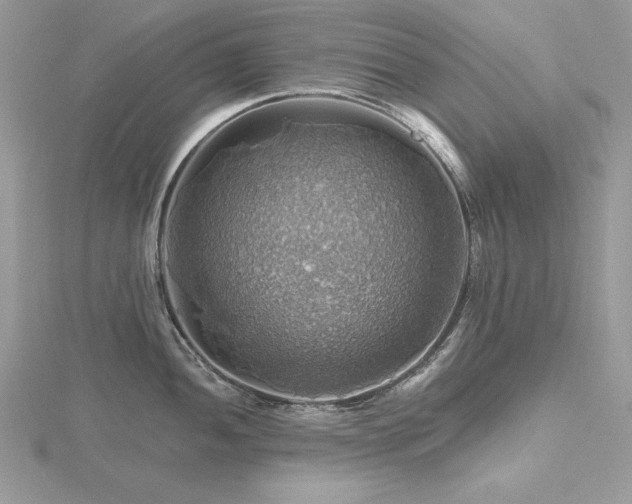 X0000116491052200912091417