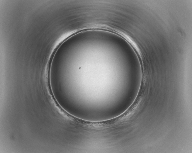 X0000116491053200912091417