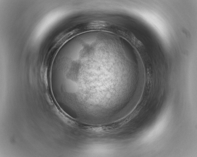 X0000116491054200912091417