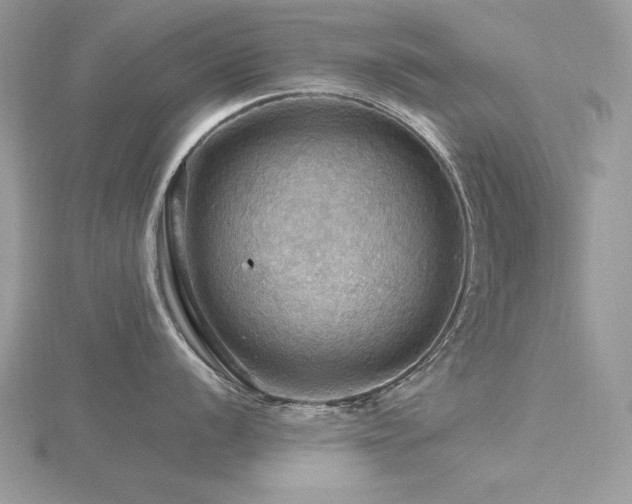 X0000116491056200912091417