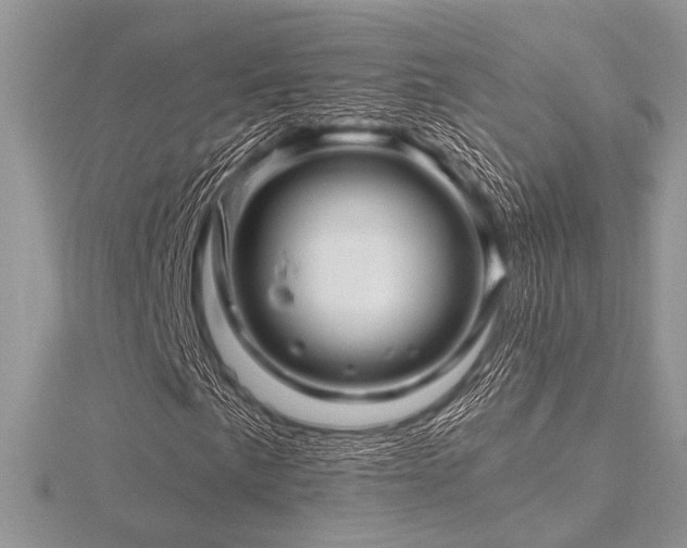 X0000116491057200912091416