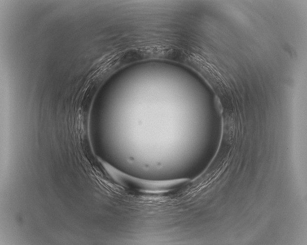 X0000116491058200912091416