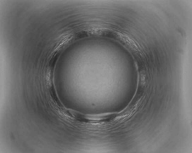 X0000116491060200912091416