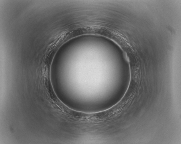 X0000116491061200912091416