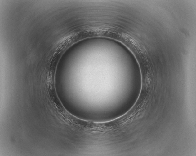 X0000116491062200912091416