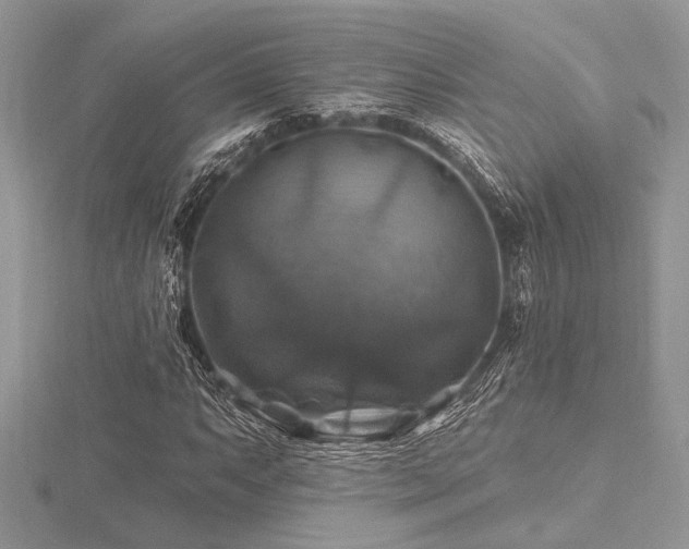 X0000116491063200912091416