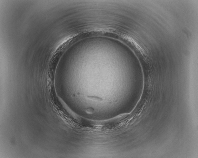 X0000116491064200912091416