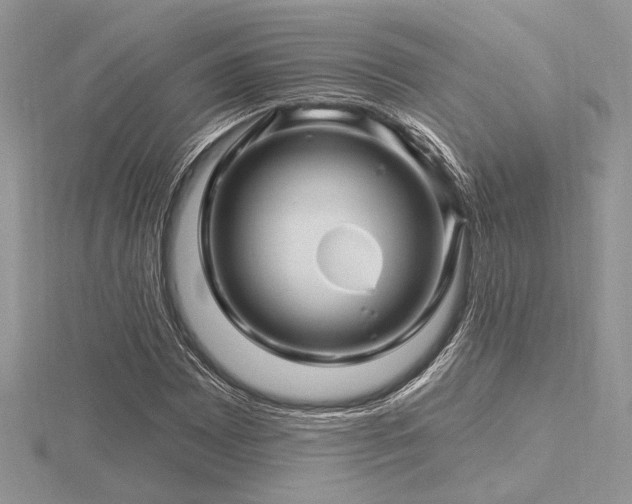 X0000116491065200912091416