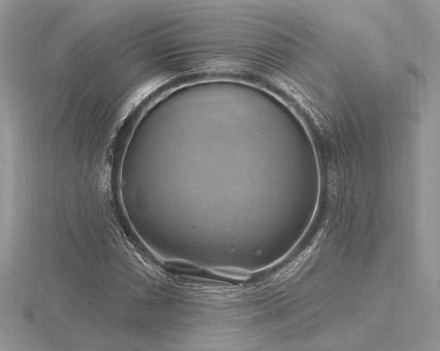 X0000116491066200912091416