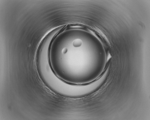 X0000116491068200912091416