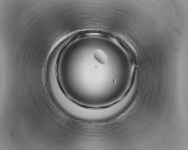 X0000116491069200912091416