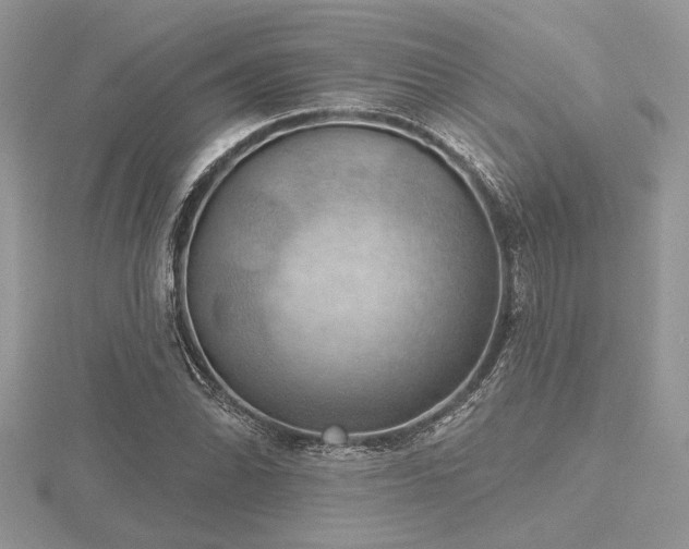 X0000116491070200912091416