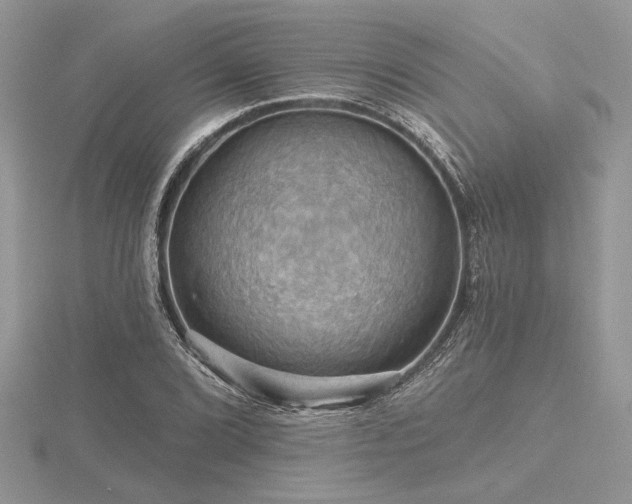 X0000116491072200912091416