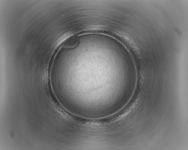 X0000116491073200912091416