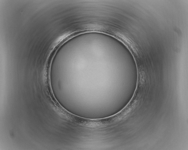 X0000116491074200912091416