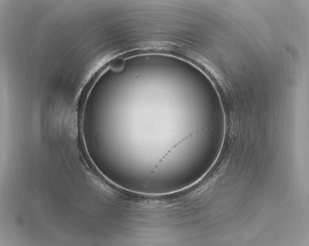 X0000116491075200912091416