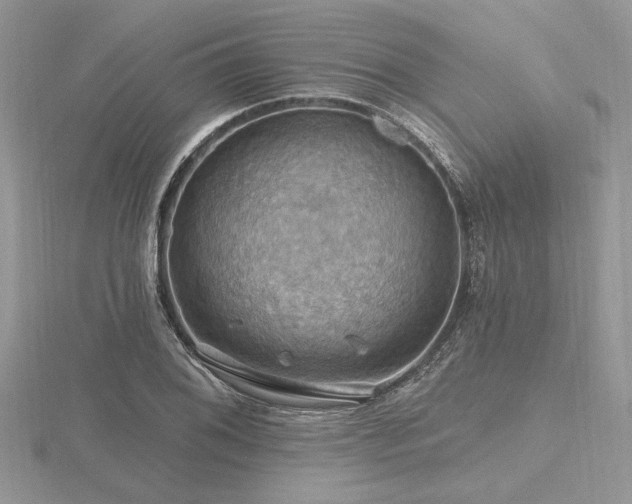 X0000116491076200912091416