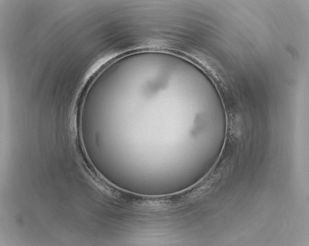 X0000116491078200912091416