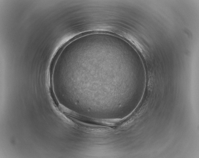 X0000116491080200912091416