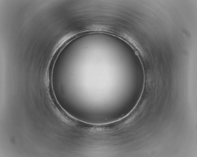 X0000116491082200912091416