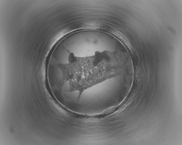 X0000116491083200912091416