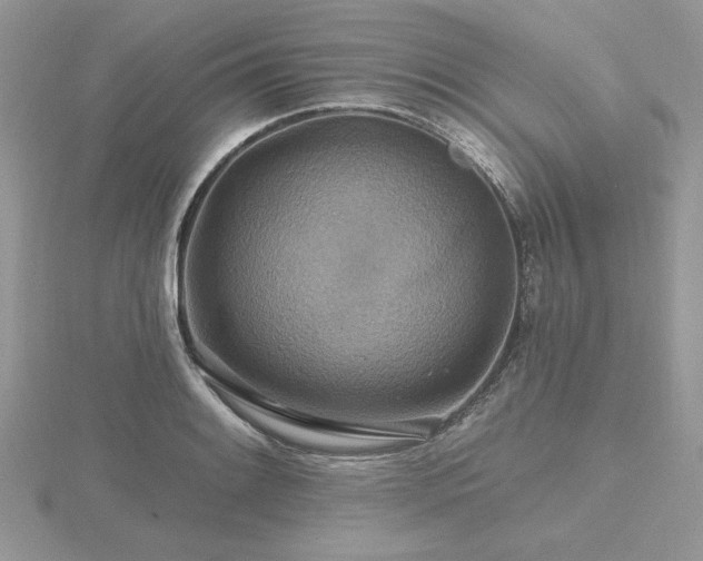 X0000116491084200912091416