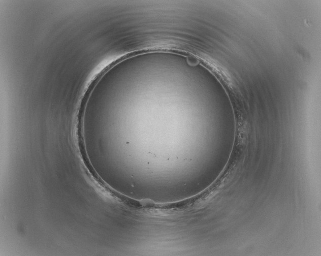 X0000116491086200912091416