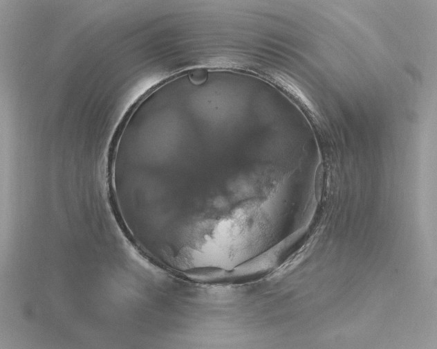 X0000116491087200912091416