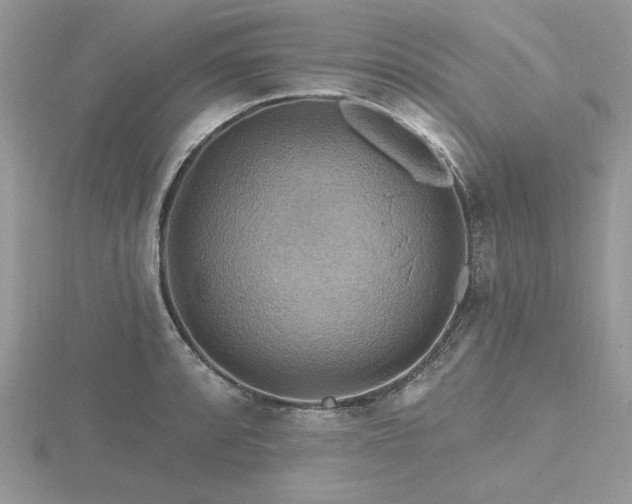 X0000116491088200912091416