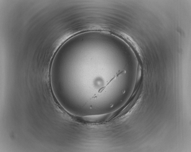 X0000116491089200912091416