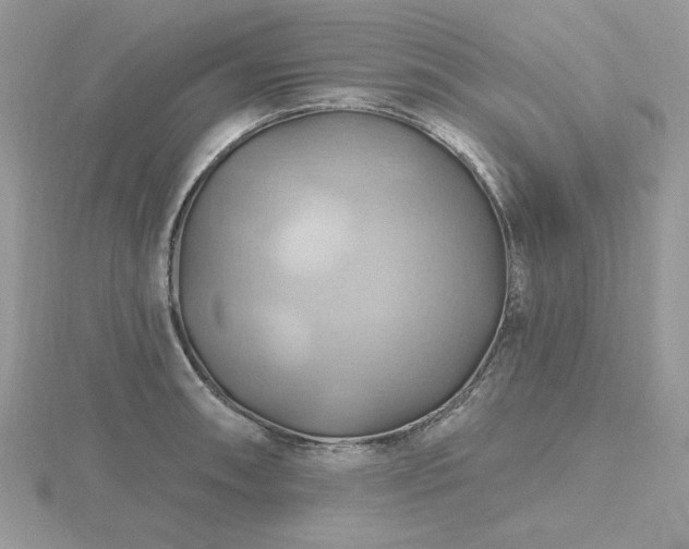 X0000116491090200912091416