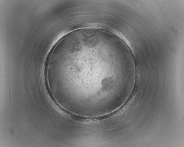 X0000116491091200912091416