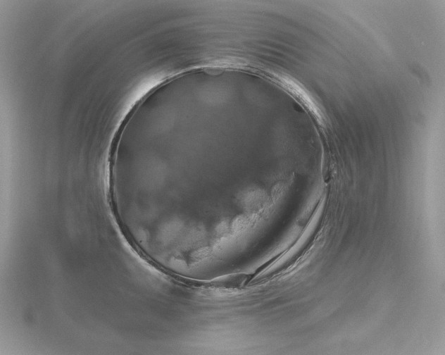 X0000116491095200912091416