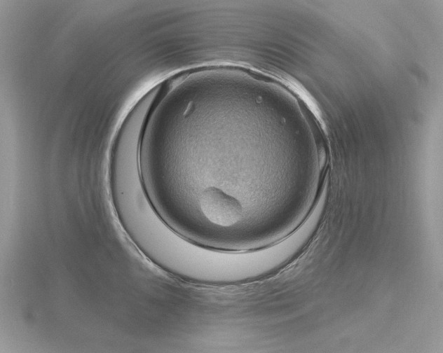 X0000116491096200912091416